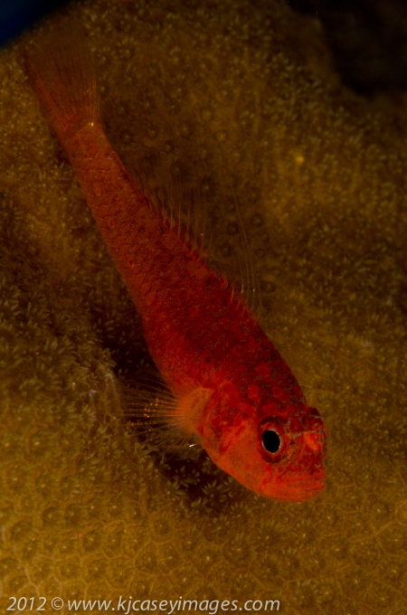 untitled-201210050109
