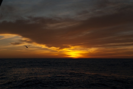 Sunset in the Revillagigado Islands